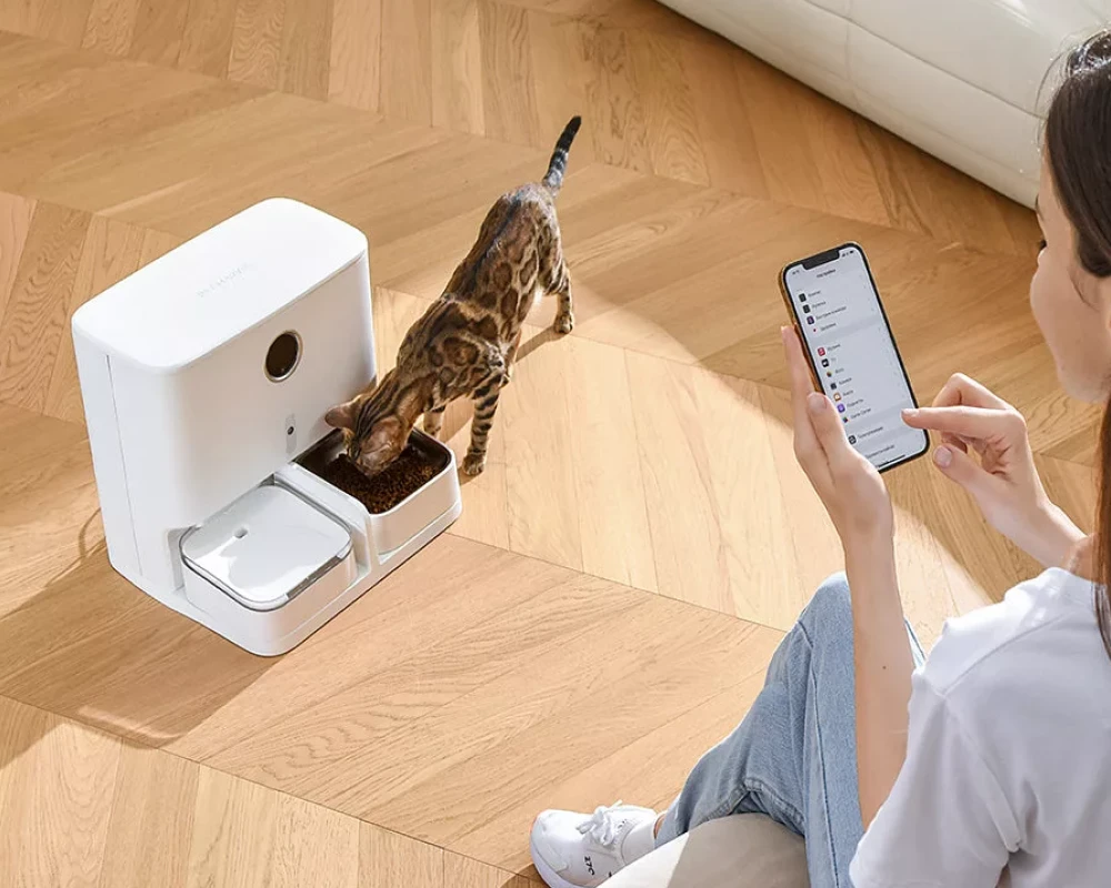 automatic pet feeder and water dispenser